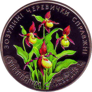 Зозулині черевички справжні, 2 гривні - 2016 2 Гривні - 2016 - Зозулині черевички справжні